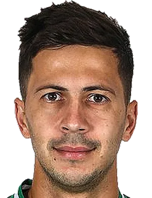 https://img.zfdzcjs.com/img/football/player/a7521cae3d55835286cc258209d1ffee.png