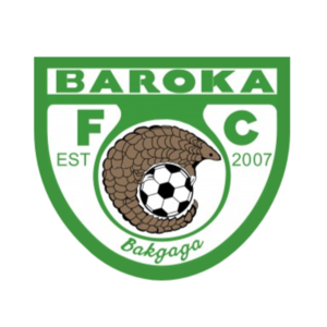 https://img.zfdzcjs.com/img/football/team/030c73dd81c413bfa319470af68169f0.png