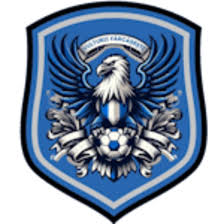 https://img.zfdzcjs.com/img/football/team/09bb5b9732bc080d522c37e74ce70004.png