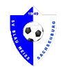 https://img.zfdzcjs.com/img/football/team/1cde488d47b598d2eed91775e6786258.png