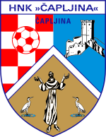 https://img.zfdzcjs.com/img/football/team/242b7355539ea1e6a6176461b891b52e.png