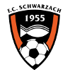 https://img.zfdzcjs.com/img/football/team/488370880779534e48b5b2d5243fb6f6.png