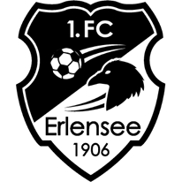 https://img.zfdzcjs.com/img/football/team/a23904e7205f9324e45c7fef24a620fd.png