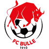 https://img.zfdzcjs.com/img/football/team/b201265fa89720bf8cd8ef95549a4738.png