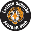 https://img.zfdzcjs.com/img/football/team/e44c29b32da1d60beb1d4693d8f06197.png