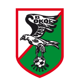 https://img.zfdzcjs.com/img/football/team/e6a8908dd206e2ea02d9803c82c60bba.png